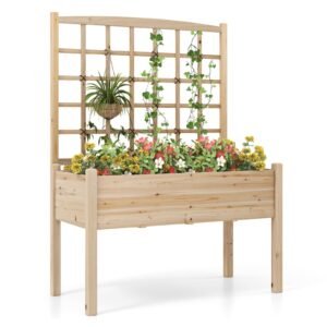 Raised Garden Bed with Trellis